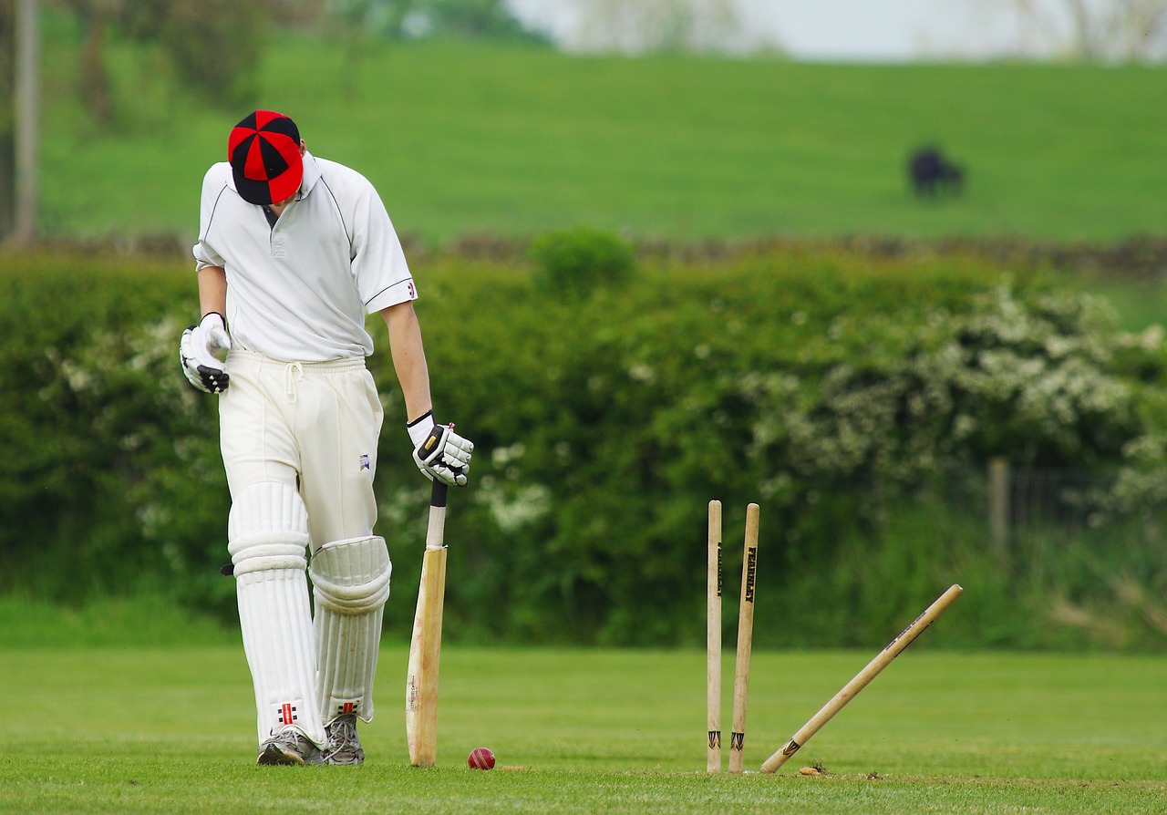a boy is playing cricket