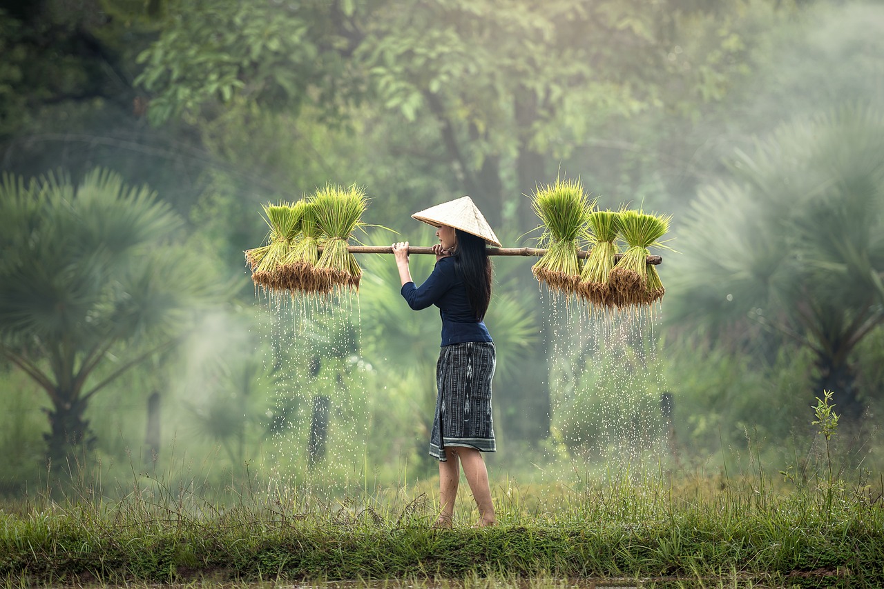 lady carrying grass on stick in both hands