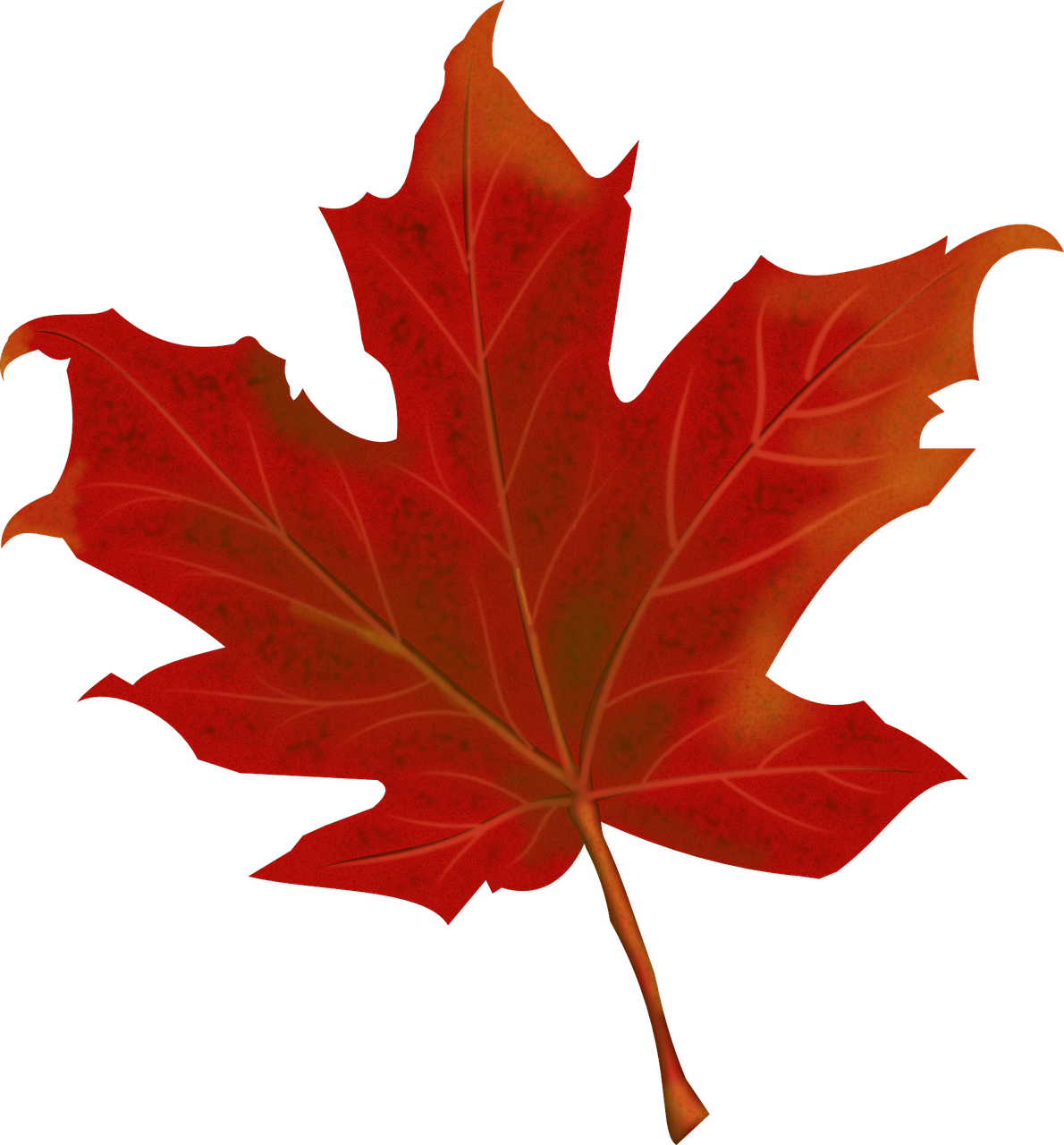 red leaf