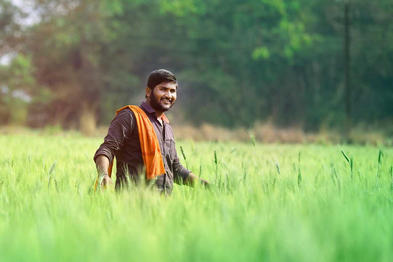 Indan farmer in field