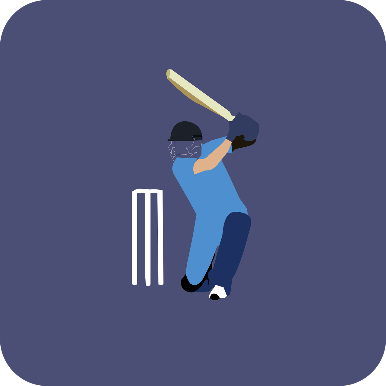cricketer with a bat and sticks